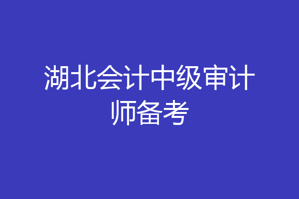 湖北会计中级审计师备考
