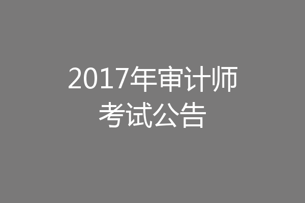 2017年审计师考试公告