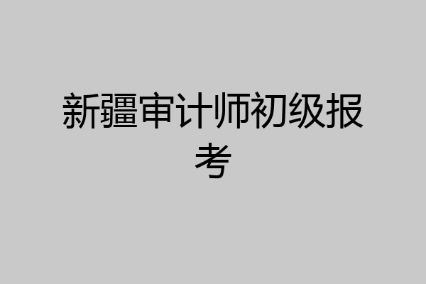 新疆审计师初级报考