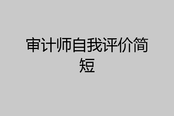 审计师自我评价简短