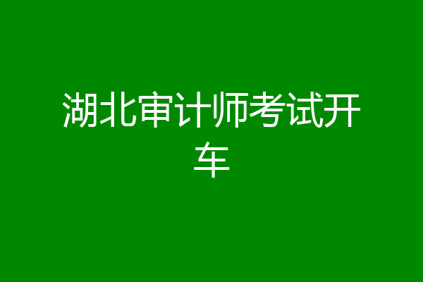 湖北审计师考试开车