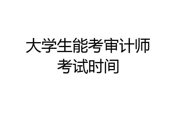 大学生能考审计师考试时间