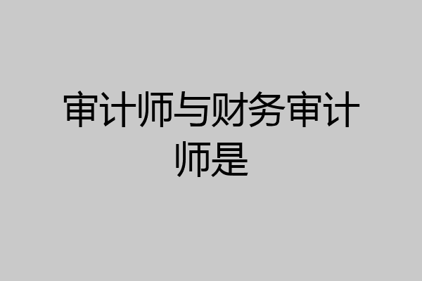 审计师与财务审计师是