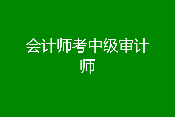 会计师考中级审计师