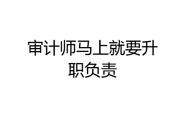 审计师马上就要升职负责