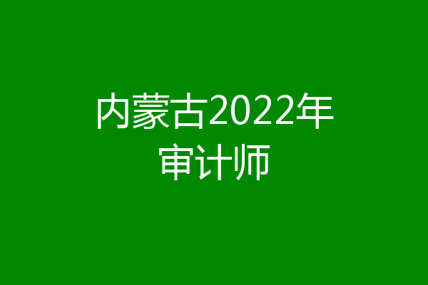 内蒙古2022年审计师