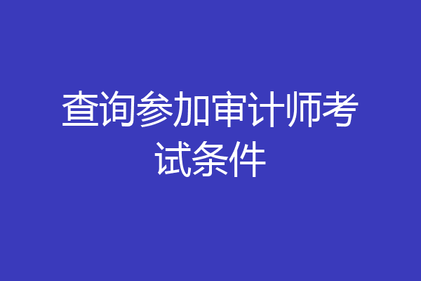查询参加审计师考试条件