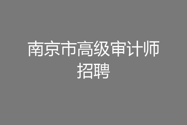 南京市高级审计师招聘