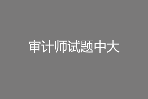 审计师试题中大