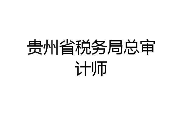 贵州省税务局总审计师