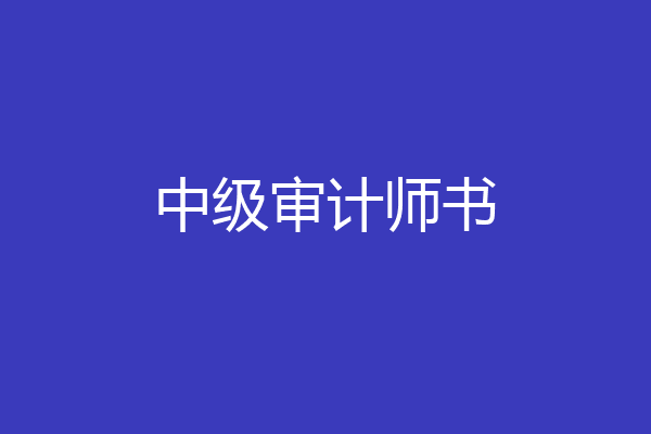 中级审计师书
