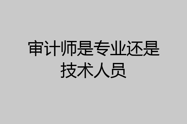 审计师是专业还是技术人员