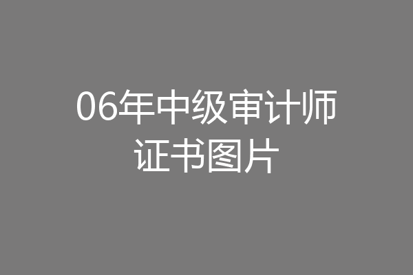 06年中级审计师证书图片