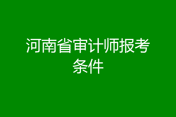河南省审计师报考条件