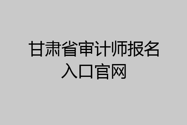 甘肃省审计师报名入口官网
