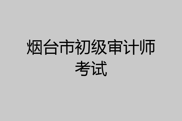 烟台市初级审计师考试