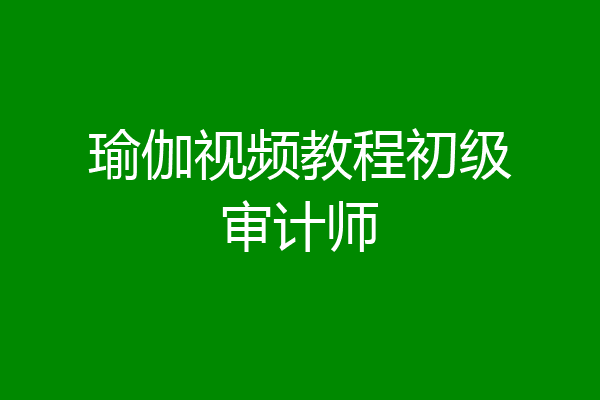 瑜伽视频教程初级审计师