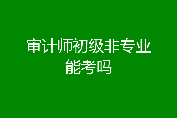 审计师初级非专业能考吗