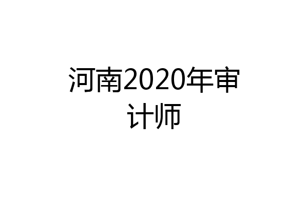 河南2020年审计师