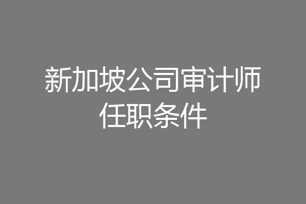 新加坡公司审计师任职条件