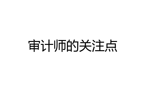 审计师的关注点