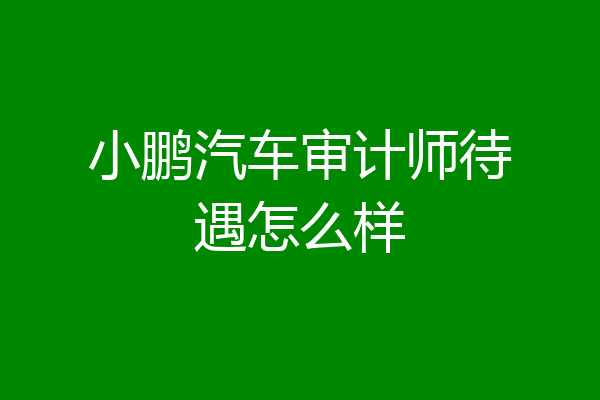 小鹏汽车审计师待遇怎么样