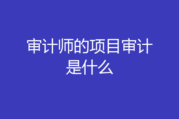 审计师的项目审计是什么