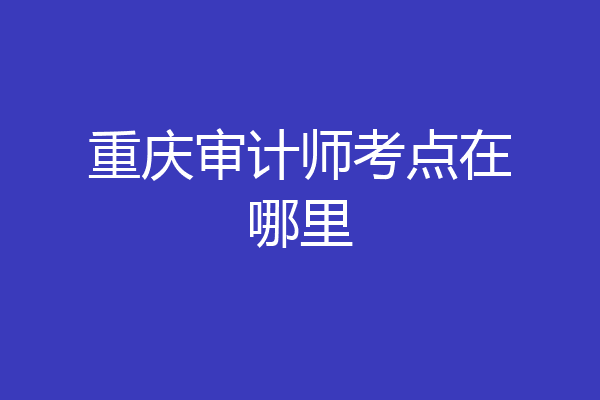 重庆审计师考点在哪里