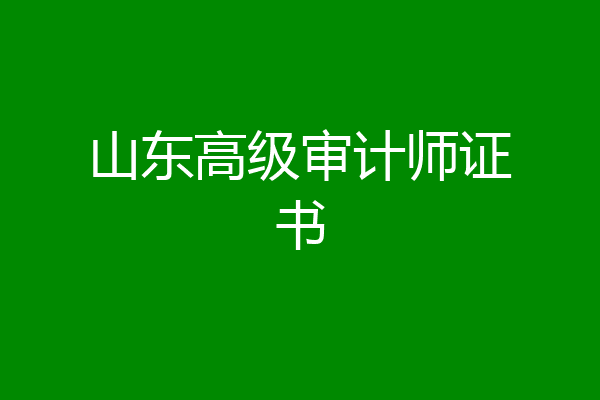 山东高级审计师证书