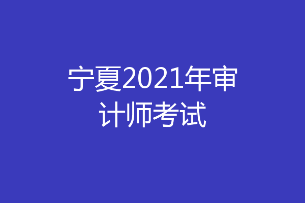 宁夏2021年审计师考试