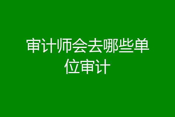审计师会去哪些单位审计