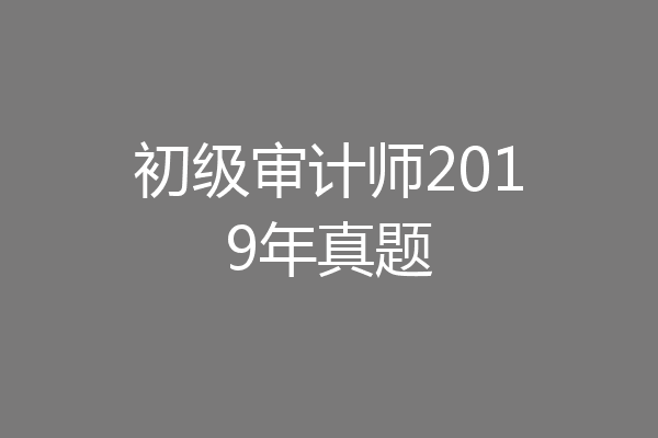 初级审计师2019年真题
