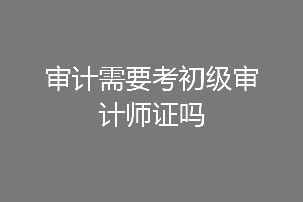 审计需要考初级审计师证吗