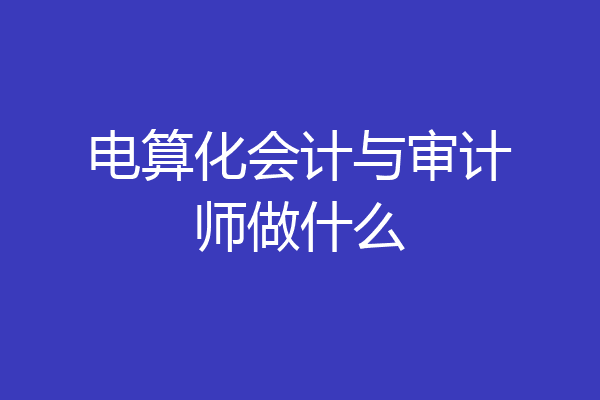 电算化会计与审计师做什么