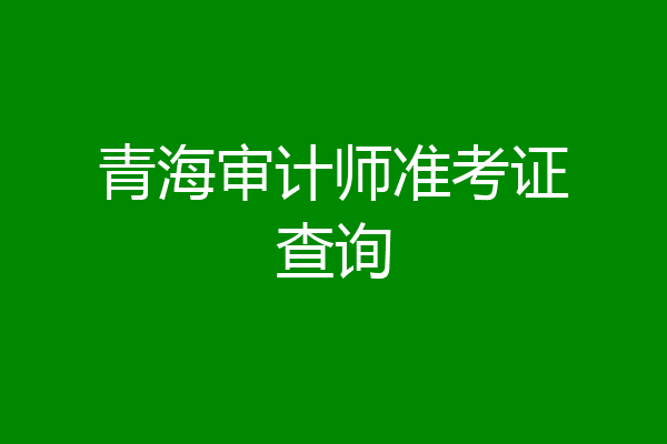青海审计师准考证查询