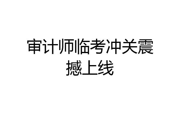 审计师临考冲关震撼上线