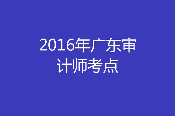 2016年广东审计师考点