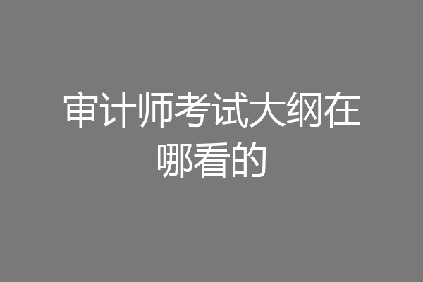 审计师考试大纲在哪看的