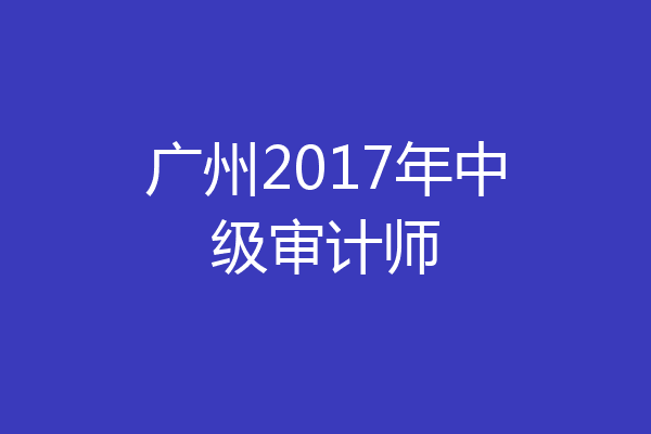 广州2017年中级审计师