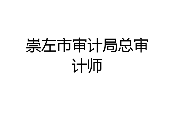 崇左市审计局总审计师