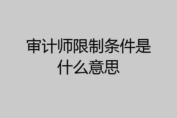 审计师限制条件是什么意思