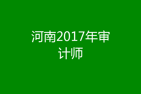 河南2017年审计师
