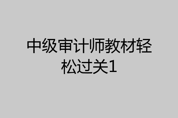 中级审计师教材轻松过关1