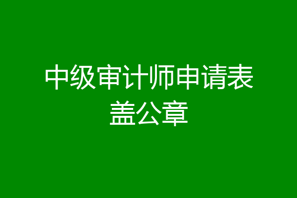 中级审计师申请表盖公章