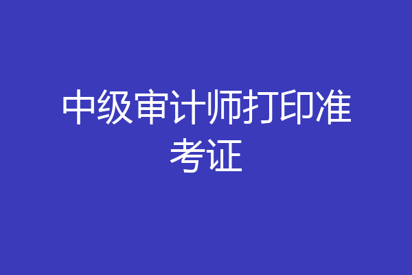 中级审计师打印准考证