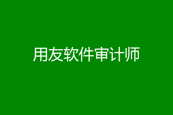 用友软件审计师