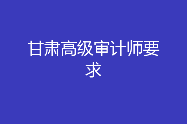 甘肃高级审计师要求