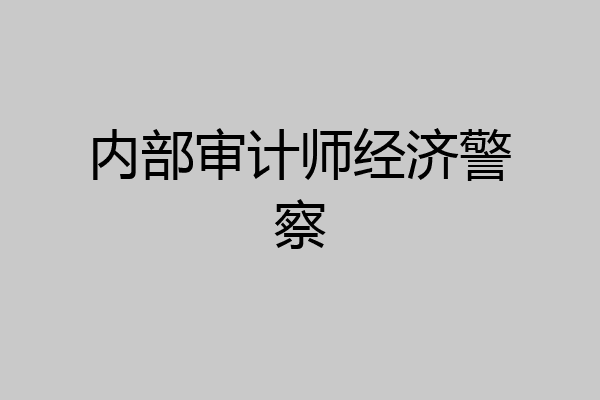 内部审计师经济警察