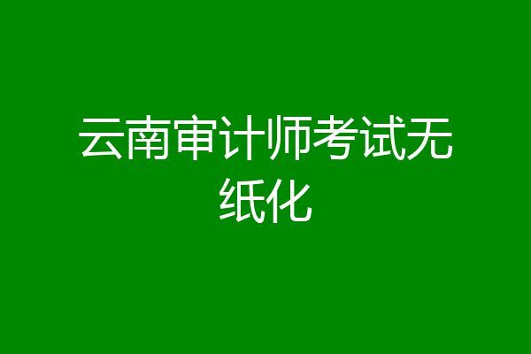 云南审计师考试无纸化