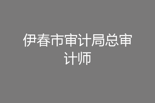 伊春市审计局总审计师